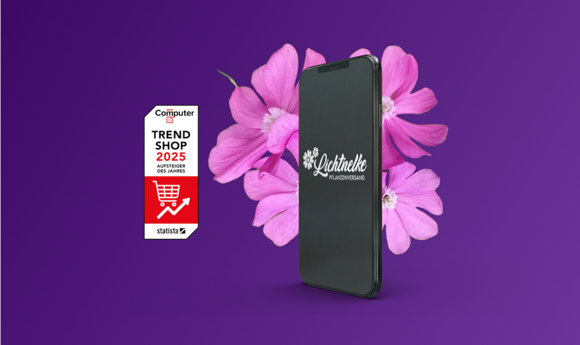 Lichtnelke design case study