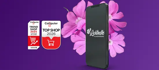 Lichtnelke redesign case