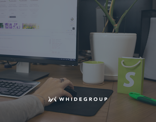 shopify optimization services