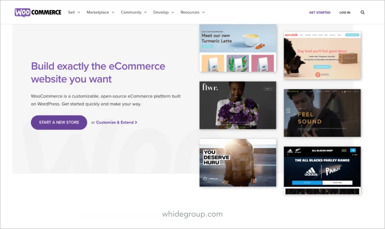 Which e-commerce shipping cart is the best: WooCommerce