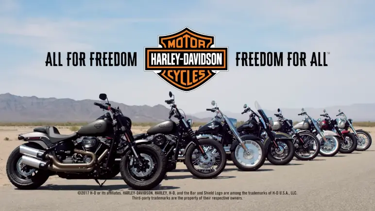 Strategic brand management of Harley-Davidson