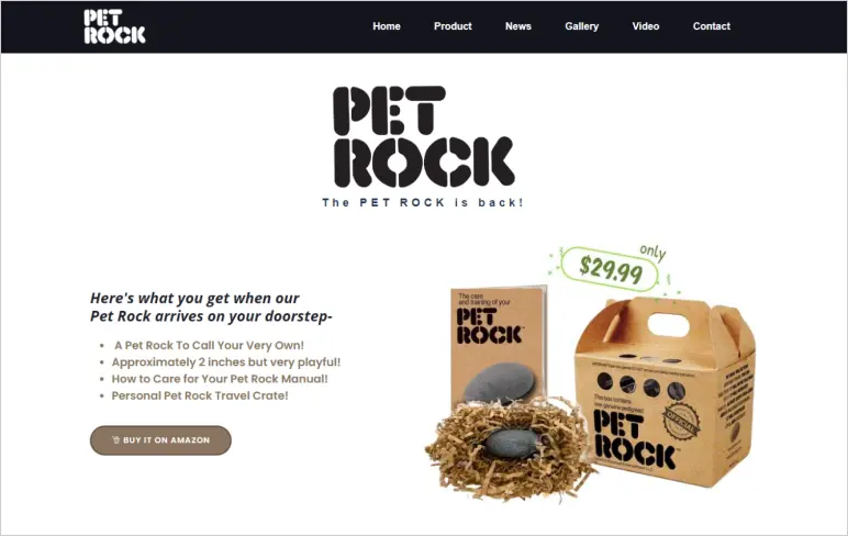 Petrock: crazy business idea