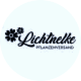 Lichtnelke